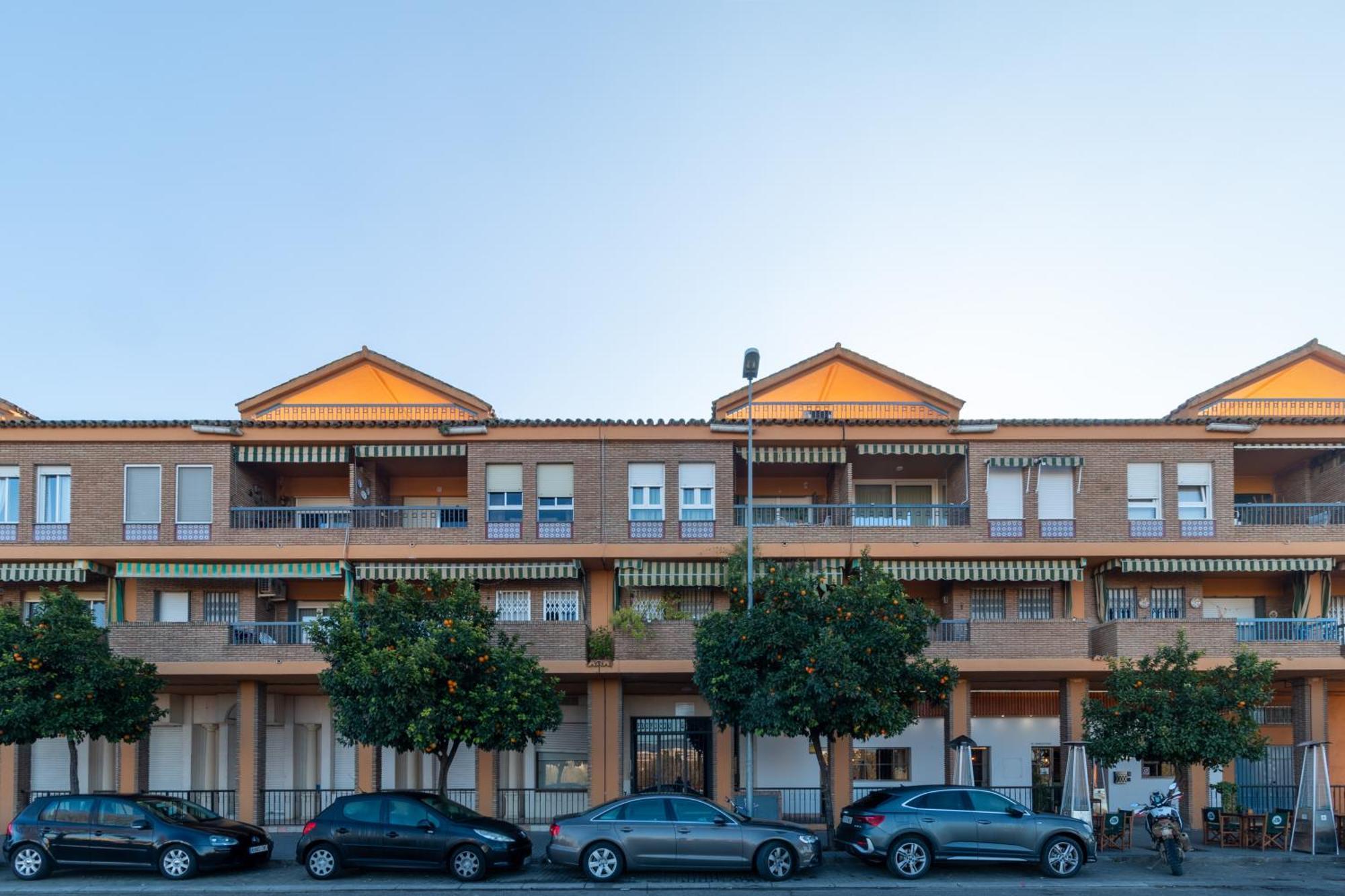 Atico Puente Romano Parking Gratuito Córdoba Exteriér fotografie